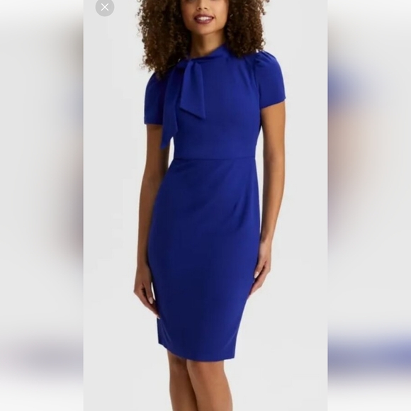 Laura petite midi dress - Picture 8 of 8